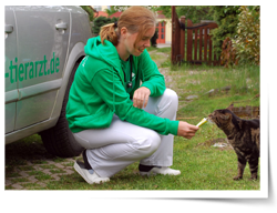 Dr. Dagmar Bredenbröker füttert eine Katze.